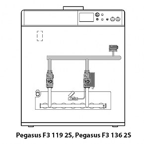 Газовый чугунный котел Ferroli Pegasus F3 N 2S