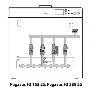 Газовый чугунный котел Ferroli Pegasus F3 N 2S